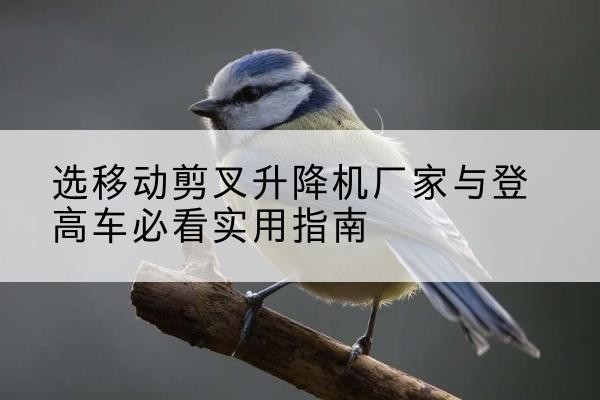 开化电动升降机厂家-选移动剪叉升降机厂家与登高车必看实用指南