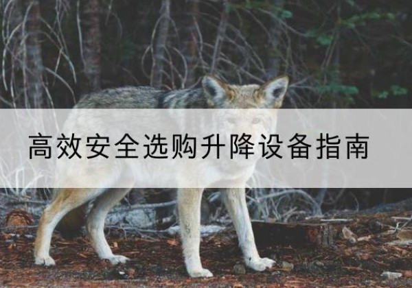 开化升降货梯厂家推荐-*安全选购升降设备指南